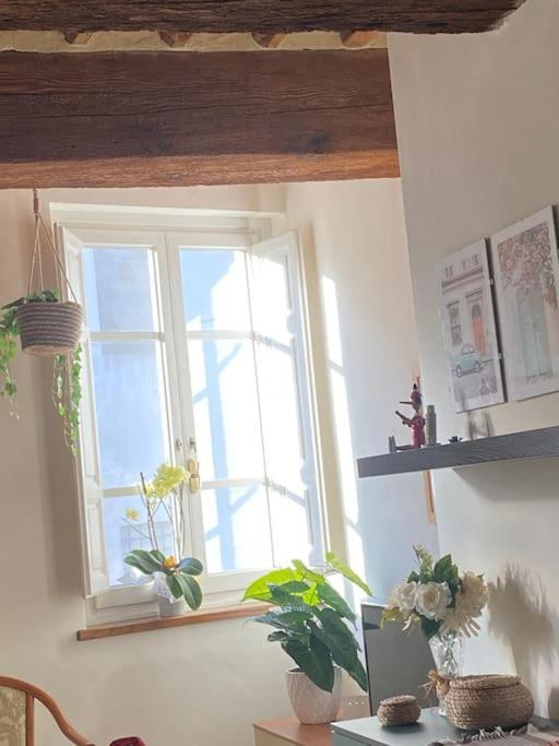Casa Luisa - Mura Di Lucca Kültér fotó